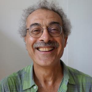 Professor Shihab Shamma